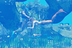 3D Image Set 58