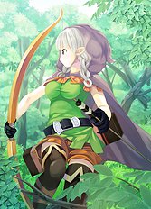 Dragons Crown 1