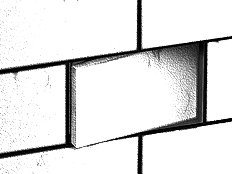 Bible Black