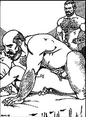 Godilocks And The Three Bears