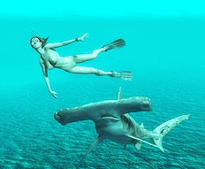 3D Image Set 25