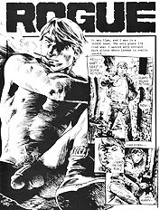 Rogue The Package