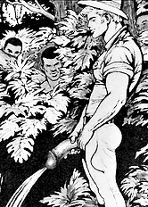 Tarzan Jim Of The Jungle