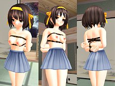 Polygonslaves Haruhi 1