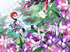 Yaoi images set 060