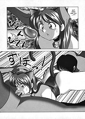 Miku no Rankou Nikki