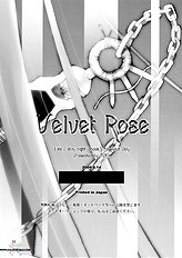Velvet Rose