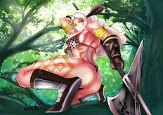 Dragons Crown 1