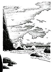 Coley Running Wild 5 - Destiny Coast