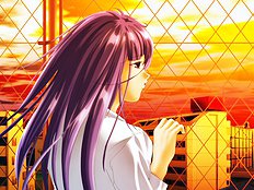 Sensei 2
