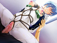 Shin Seiki Evangelion