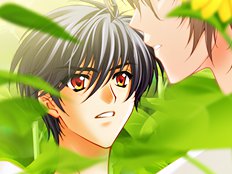 Yaoi images set 059