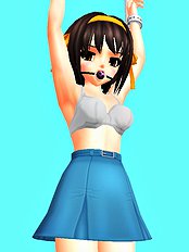Polygonslaves Haruhi 1