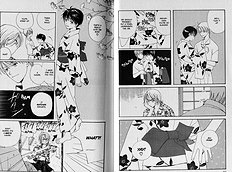 Mainichi Seiten Vol.2