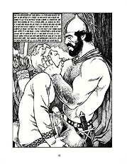 Crusaders