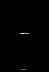 Okamax Ch. 'camellias' [okama] [ENG]