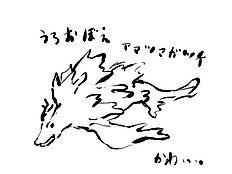 Kurokawa Otogi