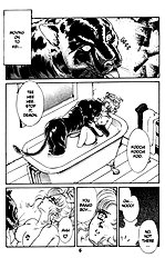 Midnight panther 1