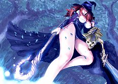 Dragons Crown 1