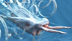 3D Image Set 13