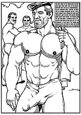 Querelle