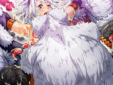 Jougari Hunter Hokaku Quest