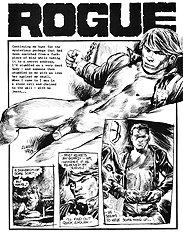 Rogue The Package