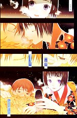 Okamax Ch. 'camellias' [okama] [ENG]