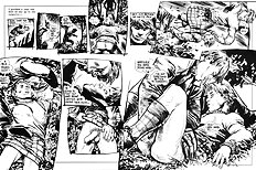 Rogue The Package