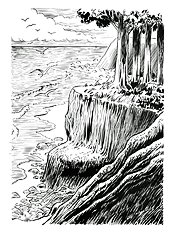 Coley Running Wild 5 - Destiny Coast