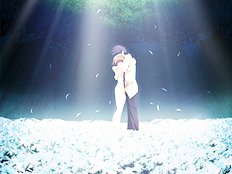 Edelweiss
