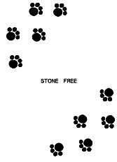 STONE FREE