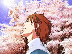 Yaoi images set 030