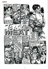 Teasy Meat