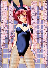 Incredible toys hentai set