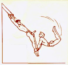 Circus