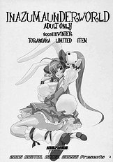 INAZUMA UNDER WORLD