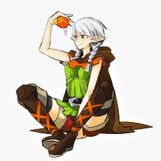 Dragons Crown 1