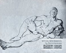 Harry Bush Art 2