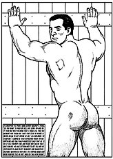 Querelle
