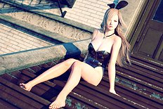 Full Artwork Collection Japan Artist Hanet