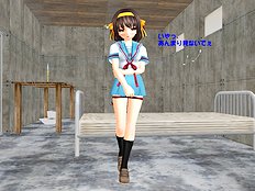Polygonslaves Haruhi 1