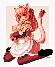 Mimosa