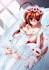 Wedding dress collection