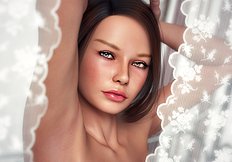 Full Artwork Collection Japan Artist Hanet