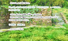 Fabulous outdoor, futanari, group hentai images