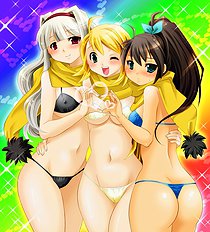Artist galleries 29