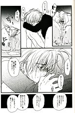 Gamerz Heaven Director's Cut Volumes