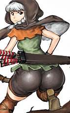 Dragons Crown 1