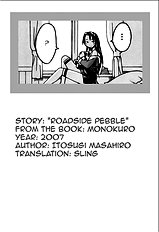 Roadside Pebble